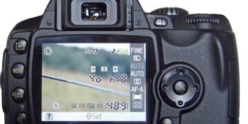 When Sigma 20mm F1.4 Paired Nikon D40