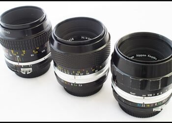 All-around Photo with Nikon 55mm F2.8 AIS Micro-Nikkon