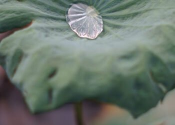 “Hal Kecil” yang Lebih Sulit Dilakukan