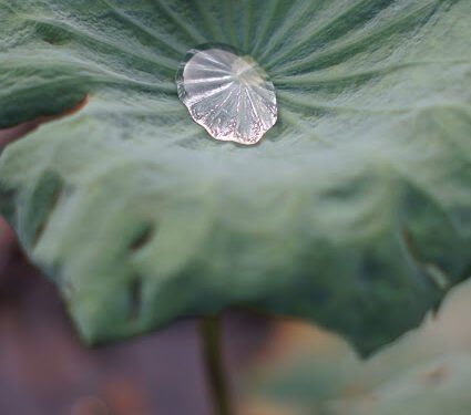 “Hal Kecil” yang Lebih Sulit Dilakukan