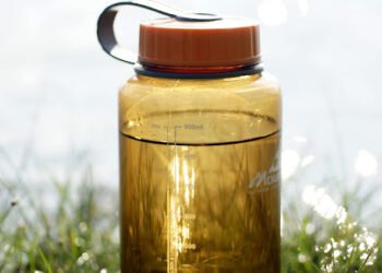 Beberapa Jenis Lapar