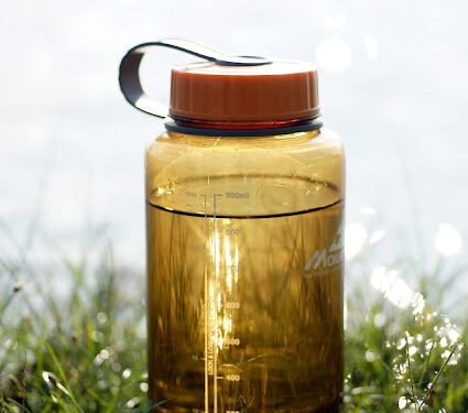 Beberapa Jenis Lapar