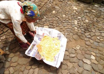 Politik(us) & Komunis