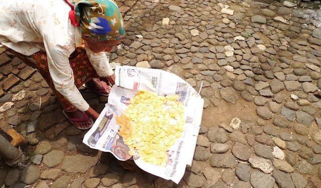 Politik(us) & Komunis