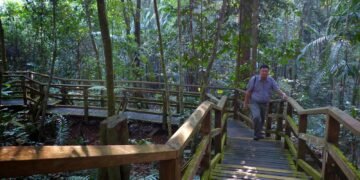 Harmoni Babi Hutan dan Prata India