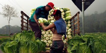 Valeria, dan Tempe Kegemarannya