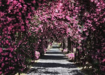 Kuburan Paling Instagrammable in Singapore