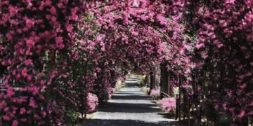 Kuburan Paling Instagrammable in Singapore