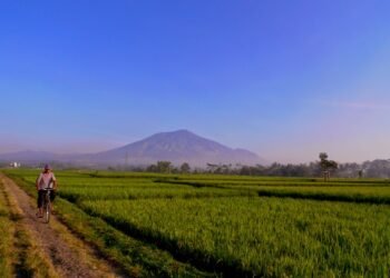 Masihkah Anda Berpikir Habibie Seorang Jenius?