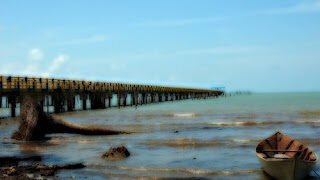 Kisah Cinta Dua Singa (4)