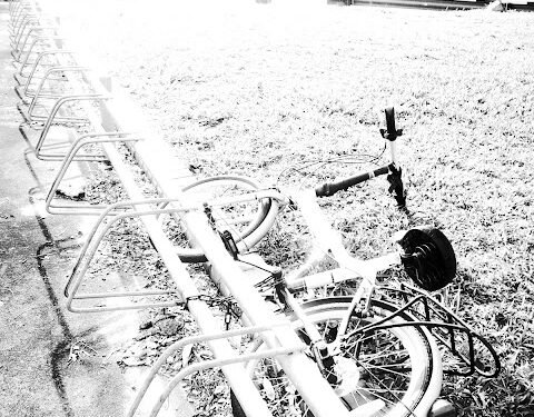 Ridwan, Risma, Ahok, Serta Indikasi Masalah Mental