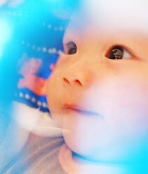 Ken, Atawa Kisah Cinta Dua Singa