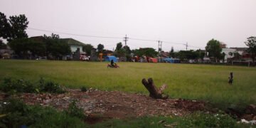 Hanya orang Goblok yang Masih Cinta Arema