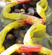 Tapis yang tak Lagi Gratis