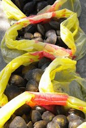 Tapis yang tak Lagi Gratis