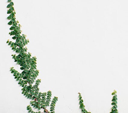 Terimakasih Tiga Generasi