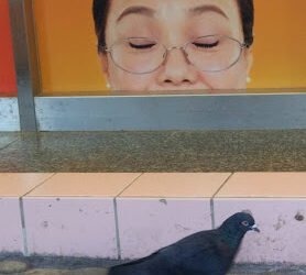 Gigi Ompong dan Penyesalan yang Berhikmah