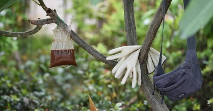 Kikuk Motret Jalanan: dengan kamera gedhe