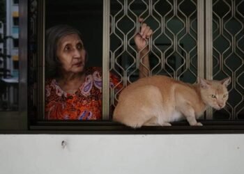 Bibi Moly & Kucing Bernama Ginger: Serta bagaimana menghadapi orangtua