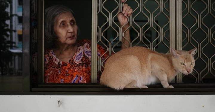 Bibi Moly & Kucing Bernama Ginger: Serta bagaimana menghadapi orangtua